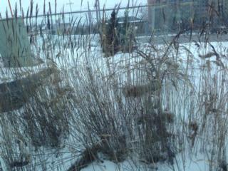 Source: John Pungente, SJ