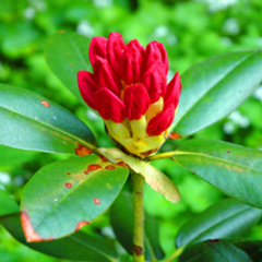 Source: Eric Jensen, SJ