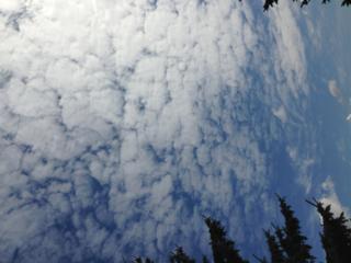 Source: Frank Obrigewtisch, SJ