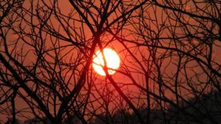 Source: dailytelegraph.com.au