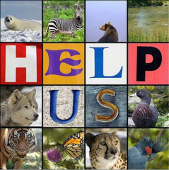 Source: engageourreco.wordpress.com