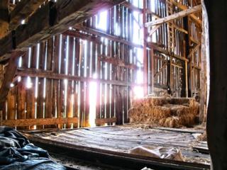 Source: Brendan McManus, SJ