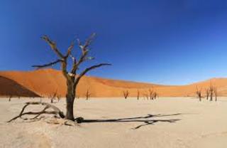 Source: dreamatico.com