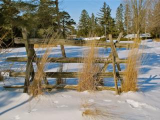 Source: Brendan McManus, SJ