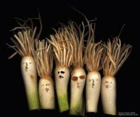 onions Source: | Flickr User Erich Ferdinand | Flickr Creative Commons