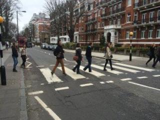 Alex and friends out for a walk, courtesy of author.