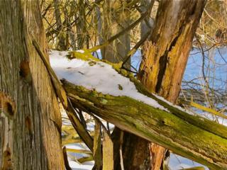 Source: Brendan McManus, SJ