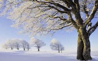 Source: 7-themes.com