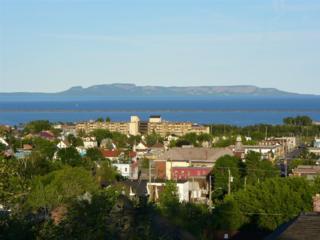 Thunder Bay and the Sleeping Giant. Source: don-mcqueen.net