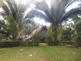 A village house in Machakhela.