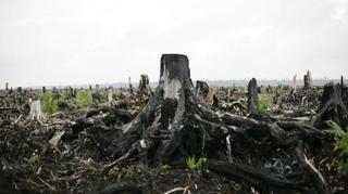 Source: solfront.org