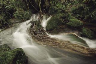 Water sanctuary at Varsana. Source: varsana.co