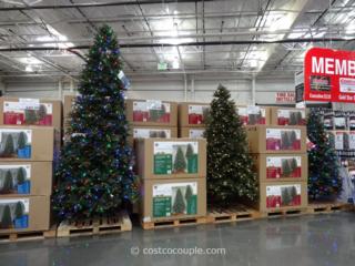 Source:costcocouple.com