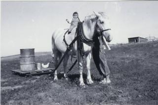 In 1951, Rose - Fr. Obrigewitsch's youngest sister - helps collect water while riding on June.