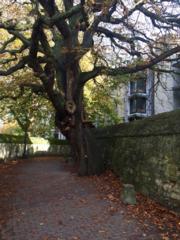 Source: Monty Williams, SJ