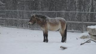 Source: Frank Obrigewitsch, SJ