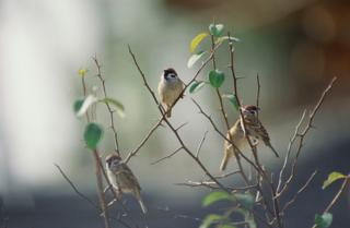 Source:workingmomadventure.com