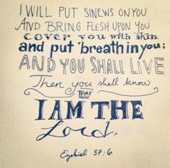 Source: newhavenreniel.org