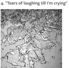 from the Topography of Tears. Source: pinterest.com