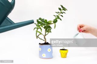 Source: thejesuitpost.org