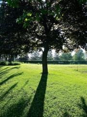 Source: Brendan McManus, SJ