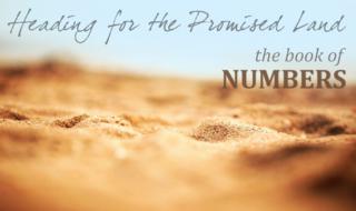 Source: civillefirst.org