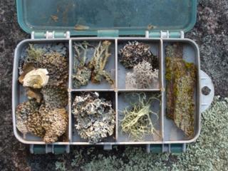 Source: pinterest.com