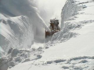 Source: newfiejokes.blogspot.com