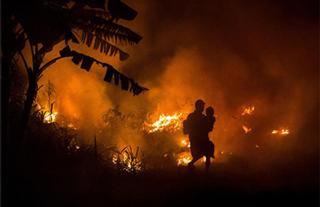 Indonesia gum forest fire. Source: kerrycollison.blogspot.com