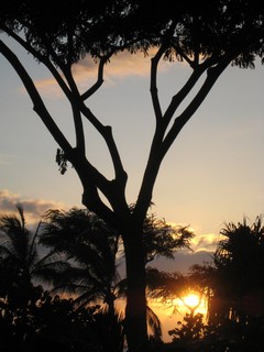 Courtesy of John Pungente, SJ