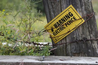 Courtesy of Moussa Faddoul